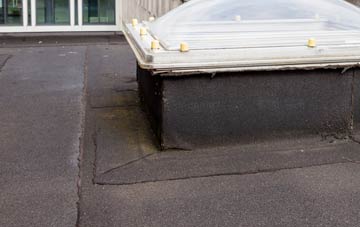 disadvantages of Uddington flat roofs